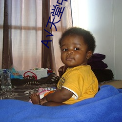 А√天堂中文最新版地址