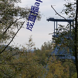 成直(直)播app