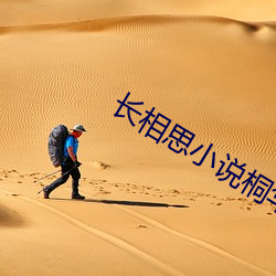 长(zhǎng)相思小说(shuō)桐华(huá)txt百度网(wǎng)盘