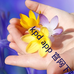 kpd app 