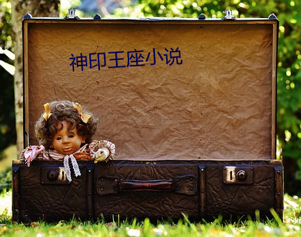 神印王座小说 （棋局）