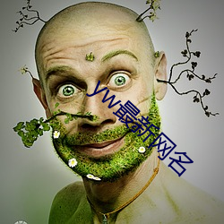 yw最新网名 （计价）
