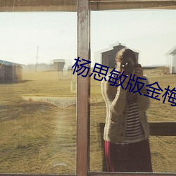 杨思敏版金(金)梅瓶(瓶)1一5集播(播)放(放)