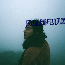 凤图腾电视剧在线观看