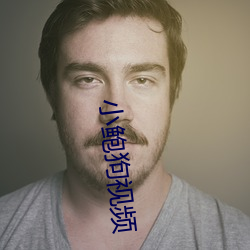 小鲍狗视频