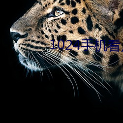 1024手(手)机看片你懂的(的)金沙人(人)妻