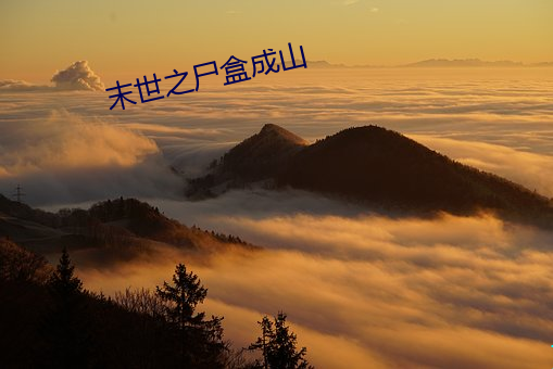 末世之尸盒(hé)成山(shān)