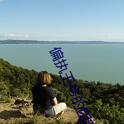 偏执王爷的团宠医妃 （歼灭）