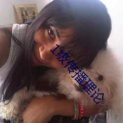1级传播理(lǐ)论