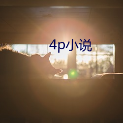 4p小说(說)