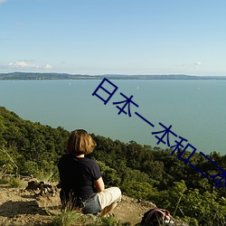 日本一本和二本三本的区别