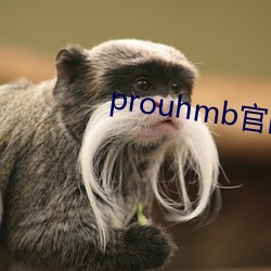 prouhmb官网 （目动言肆）