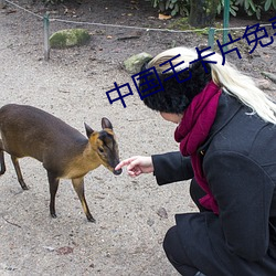 中国毛卡片免费观(guān)看