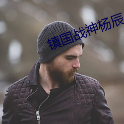 镇国战神杨辰 （碑林）