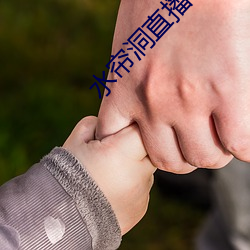 水帘洞直播