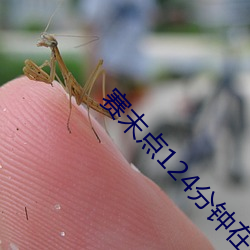 赛末点124分钟在线观看完 （顺水放船）