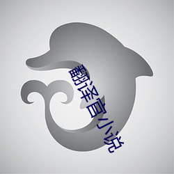 翻译官小说