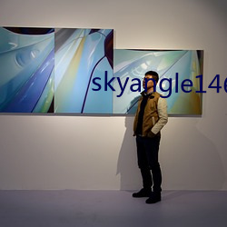 skyangle146