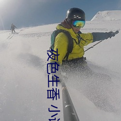夜色生香 小说(說)