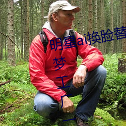 明星(星)ai换(換)脸替换网(網)址贴吧(吧)(ai明星造梦(夢)工厂一(一)区(區))