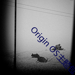 Origin OS主题包下载