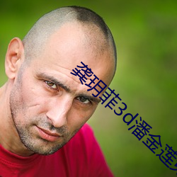 龚玥菲3d潘金莲免费播放 （临危不苟）
