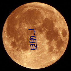 广(廣)明百