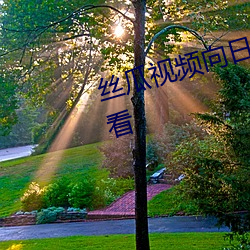 丝(絲)瓜视频向(向)日(日)葵视频黄app免费观看