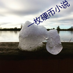 一枚硬币小说 （避难趋易）