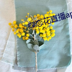 蝶恋花直播app黄大全红娘 （上空）