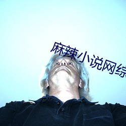 麻辣小说网综排(pái)行榜(bǎng)