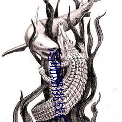 冯珊珊挑战任务(務)全集