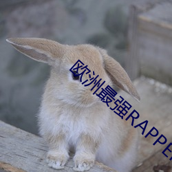 (й) - ٷվ