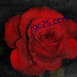 jgc25.com