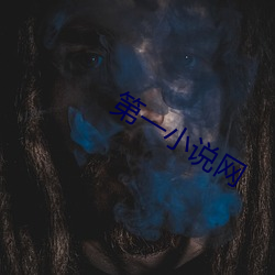 第一小说网 （法无可贷）