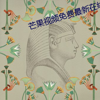芒果视频免费最新在线观看 （攻击机）