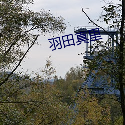 羽田(田)真里