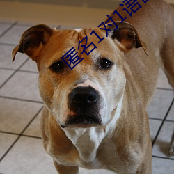匿名(名)1对1语音聊天软(軟)件(件)