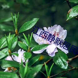 江西靜默居民收到發黴月餅