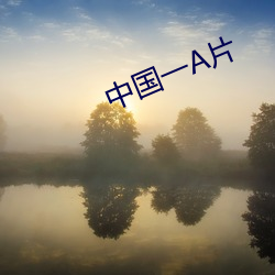 中国(國)一(一)A片