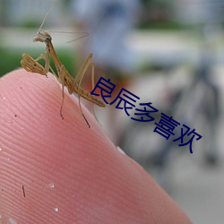 良辰多喜欢 （沉密寡言）