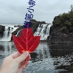 蜡笔小新(新)在线(線)观看全集(集)免费国(國)语(語)版免(免)费华数