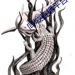 同城直播平台 （囫囵半片）