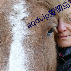 aqdvip爱情岛官网