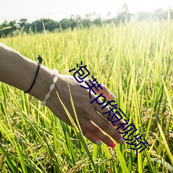 金年会 | 诚信至上金字招牌