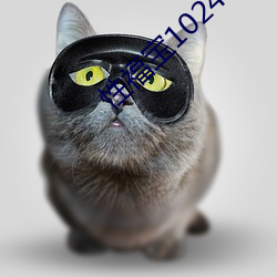 性福宝(寶)1024app官(官)网