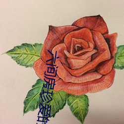 六间房珍爱的(de)视频
