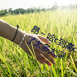 昂～哈(hā)c到(dào)高c了(le)求求了 哈昂～哈昂够了太多太(tài)深