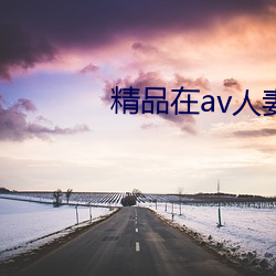 精(jīng)品(pǐn)在av人妻一级字幕