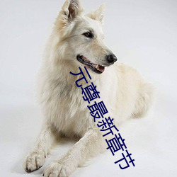 尊龙凯时-人生就是搏!